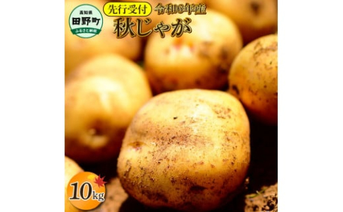 【四国一小さなまちのじゃがいも】★令和6年11月中旬発送開始★ 大野台地で採れた『 令和6年産 秋じゃが 』 10kg 1372115 - 高知県田野町