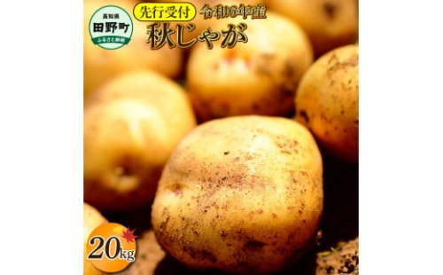 【四国一小さなまちのじゃがいも】★令和6年11月中旬発送開始★ 大野台地で採れた『 令和6年産 秋じゃが 』 20kg 1372117 - 高知県田野町