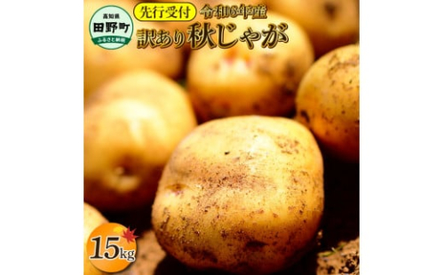 【四国一小さなまちのじゃがいも】★令和6年11月中旬発送開始★ 大野台地で採れた『 令和6年産 秋じゃが 』 15kg　～ 訳あり ～ 1372118 - 高知県田野町