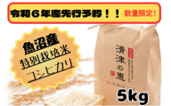 【令和6年産先行予約】魚沼産特別栽培米コシヒカリ　〈清津の恵〉　精米5kg