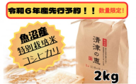 【令和6年産先行予約】魚沼産特別栽培米コシヒカリ　〈清津の恵〉　精米2kg（1kgｘ2袋）