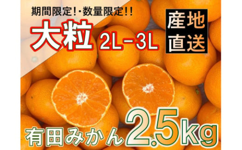 和歌山県産 有田みかん 大粒サイズ 2.5kg 1372615 - 和歌山県有田川町