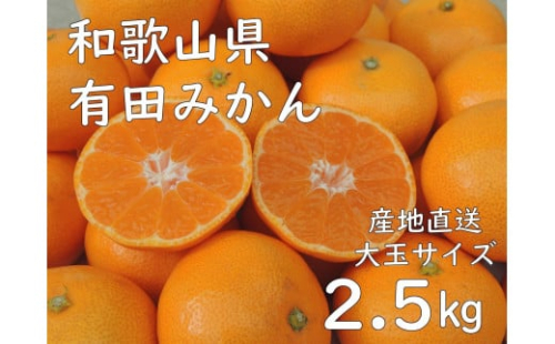 和歌山県産 有田みかん 大粒サイズ 2.5kg 【先行予約】 1372615 - 和歌山県有田川町