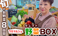 【旬のお野菜8品目】ウカマルシェ　セレクト野菜BOX　※離島への配送不可