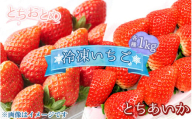 【とちおとめ】《選べる品種！》とちおとめ とちあいか 冷凍いちご 1kg〔B-103〕 | いちご イチゴ 苺 フルーツ 果物 デザート ストロベリー 冷凍 ジャム スムージー フローズン 那須 栃木県 那須町