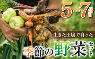 【里山JAPAN】長野県東御市産生きた土壌で育った『季節の野菜セット』（５〜７品目）