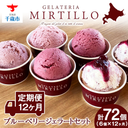 【12ヶ月連続でお届け♪】 ◆ジェラートの本場「イタリア」仕込みの味 ◆北海道産の牛乳を使用！ ◆旬の食材にこだわった本格ジェラート 【ジェラテリア ミルティーロ】で人気のブルーベリージェラート4種を