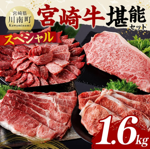 宮崎牛 堪能セット 【スペシャル】 合計1.6kg【 肉 牛肉 国産 宮崎県産 黒毛和牛 和牛 モモスライス カルビ 】 1373401 - 宮崎県川南町