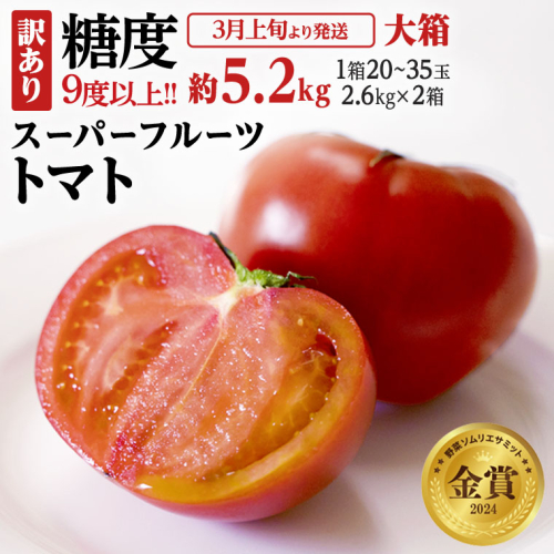 糖度9度以上 訳あり トマト 【 2025年収穫分 先行予約 】《訳あり》 スーパーフルーツトマト 大箱 約2.6kg×2箱 （20～35玉／箱）糖度9度以上 フルーツトマト トマト 2025年3月上旬発送開始 とまと 野菜 [BC039sa] 1373593 - 茨城県桜川市