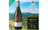 信州たかやまワイナリーのシャルドネ白ワイン1本(長野県高山村産ワインブドウ100%のワイン)【1402297】