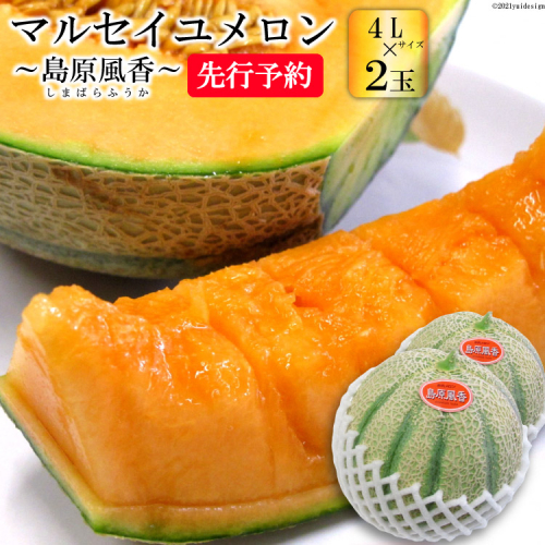 CF108【令和8年度出荷分】マルセイユメロン～島原風香～（4L×2玉）[農事組合法人　『舞岳の里』生産組合 長崎県 島原市 CF108] メロン 赤肉 果物 くだもの フルーツ 産地直送