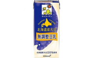キッコーマンソイフーズ　北海道産大豆 無調整豆乳 1L×12本【1389467】