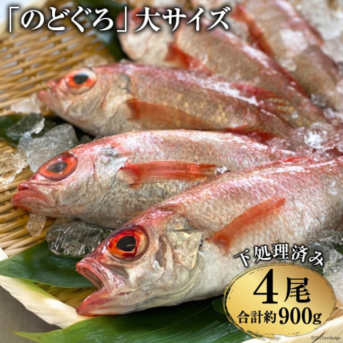 EF090「のどぐろ」大サイズ（200～250g） 4尾　＜煮付け・塩焼き用＞ 137423 - 長崎県島原市