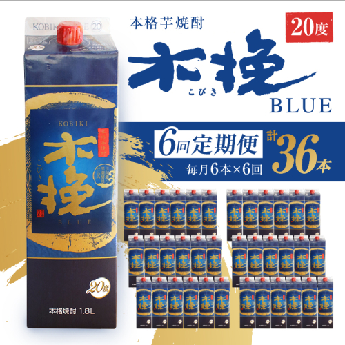 毎月21日にお届け！木挽BLUE 6本セット【全6回定期便】(02-142) 1374525 - 宮崎県綾町