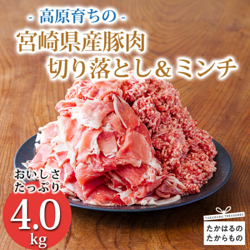 《寄付金14,000円で4kg！》国産 豚肉切り落とし＆豚肉ミンチ コスパ抜群と話題の大容量豚肉2種詰め合わせセット 合計4000g ワンストップオンライン対応 TF0767-P00070 1374707 - 宮崎県高原町