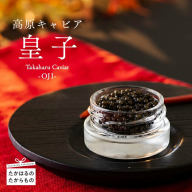 Takaharu Caviar(たかはるキャビア)『皇子』20g×5瓶セット [高級 国産 バエリ ギフト 贈答 贈り物 プレゼント 化粧箱付き いこいの家 ワンストップオンライン] TF0515-P00045