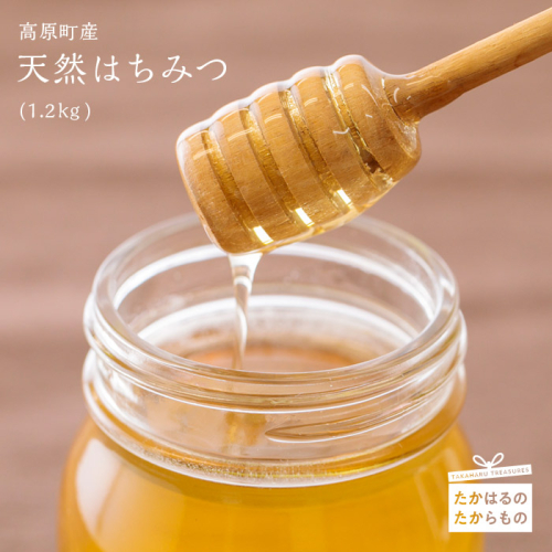 高原町産天然はちみつ 1.2kg(600g×1本) 国産のおいしい蜂蜜 ワンストップオンライン対応 TF0269-P00011 1374748 - 宮崎県高原町