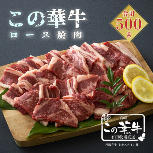 高原有田牧場直送 この華牛 ロース焼肉(500g) ワンストップオンライン対応 TF0460-P00037 1374791 - 宮崎県高原町