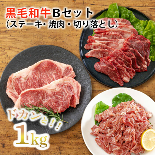 《大容量》黒毛和牛Bセット(ステーキ・焼肉・切り落とし)3種で合計1kg コスパ最強と話題の国産牛詰め合わせセット [赤身肉 牛肉 お肉 ステーキ 切り落とし ワンストップオンライン] TF0562-P00020 1374794 - 宮崎県高原町