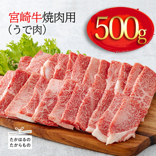 《A5・A4ランク》宮崎牛焼肉(うで肉) 約500g 内閣総理大臣賞受賞の黒毛和牛 [ブランド牛 牛肉 ワンストップオンライン] TF0568-P00012 1374798 - 宮崎県高原町