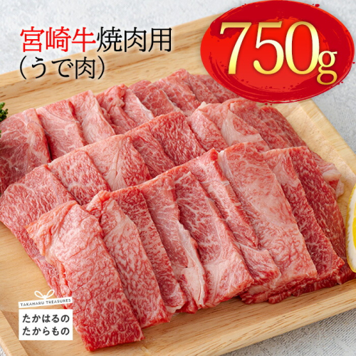 《A5・A4ランク》宮崎牛焼肉用(うで肉)約750g 内閣総理大臣賞受賞の黒毛和牛 [ブランド牛 牛肉 ワンストップオンライン] TF0569-P00012 1374799 - 宮崎県高原町