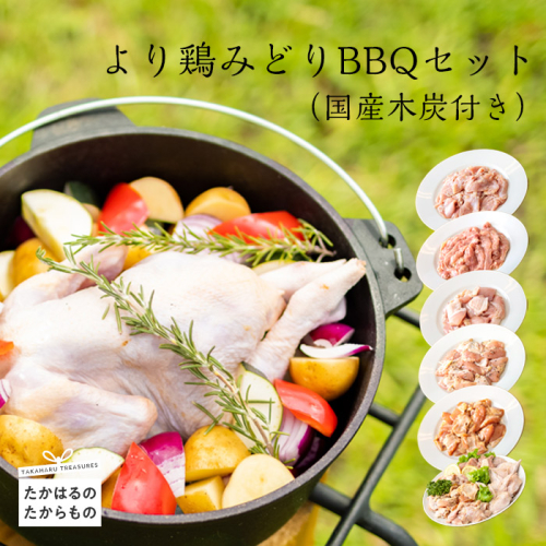 《国産木炭付き》より鶏みどりBBQセット バーベキューにピッタリな味付きチキンの詰め合わせ [BBQ バーベキュー ホームパーティ イベント ソロキャンプ 小分け 時短調理 簡単調理 手羽先 鶏肉 若鶏のモモ肉 お肉 さつま地鶏屋 ワンストップオンライン]  TF0475-P00033 1374815 - 宮崎県高原町