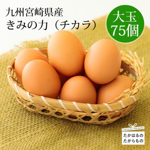 宮崎県産の赤たまご『きみの力(チカラ)』大容量75個Lサイズの赤卵 ミネラルたっぷりのカキガラや上質な飼料ですくすく育った鶏の卵は甘くておいしい逸品 [新鮮 たまご L玉 玉子 大玉 10000円 1万円 ワンストップオンライン] TF0406-P00035 1374822 - 宮崎県高原町