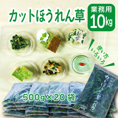 《大容量10kg》九州産 ほうれん草 業務用の冷凍法蓮草 [冷凍野菜 法連草 ワンストップオンライン] TF0590-P00019 1374843 - 宮崎県高原町