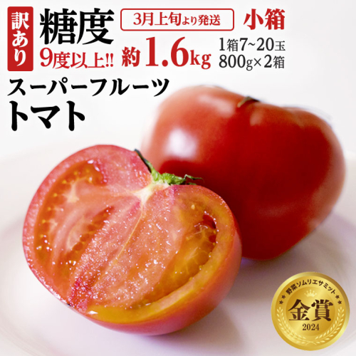 糖度9度以上 訳あり トマト 【 2025年収穫分 先行予約 】《訳あり》 スーパーフルーツトマト 小箱 約800g（7～20玉）×2箱 糖度9度以上 フルーツトマト トマト 2025年3月上旬発送開始 とまと 野菜 [BC043sa] 1374854 - 茨城県桜川市