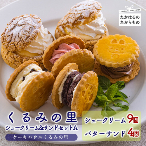 《お菓子詰め合わせ》くるみの里シュークリーム&バターサンドセットA [ラムレーズンサンド あんバターサンド チョコレート イチゴ 苺 ストロベリー ワンストップオンライン] TF0676-P00010 1374855 - 宮崎県高原町