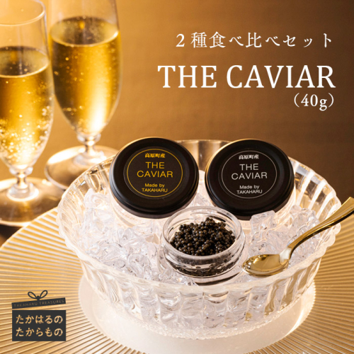 THE・CAVIAR(ザ・キャビア)2種食べ比べセット バエリとオシェトラ詰め合わせ 合計40g [高級 国産 日本産 ギフト 贈答 贈り物 プレゼント お中元 化粧箱入り BAERII OSETRA ワンストップオンライン] TF0509-P00066 1374917 - 宮崎県高原町