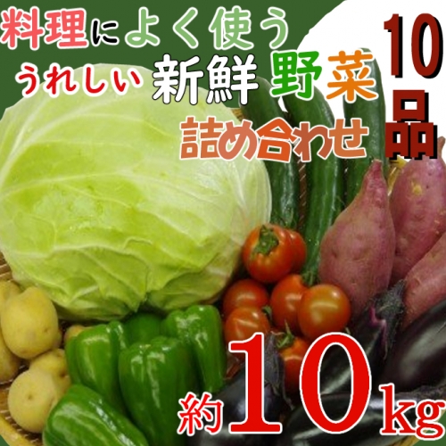 大家族向け! 野菜 10品 合計約10kg 詰め合わせ セット 大容量 おまかせ 新鮮 やさい 高知県 室戸市 送料無料 RK083