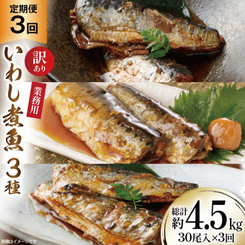 3回 定期便 訳あり 業務用 いわし煮魚 3種 ×10尾 計30尾入 約1.5kg ×3回 総重量 約4.5kg [カネダイ 宮城県 気仙沼市 20565563] 魚 魚介 煮魚 国産 生姜煮 梅肉煮 みぞれ煮 おかず 焼き魚 簡単 時短 訳アリ 冷凍 1374999 - 宮城県気仙沼市