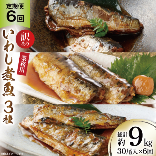 6回 定期便 訳あり 業務用 いわし煮魚 3種 ×10尾 計30尾入 約1.5kg ×6回 総重量 約9kg [カネダイ 宮城県 気仙沼市 20565564] 魚 魚介 煮魚 国産 生姜煮 梅肉煮 みぞれ煮 おかず 焼き魚 簡単 時短 訳アリ 冷凍 1375041 - 宮城県気仙沼市