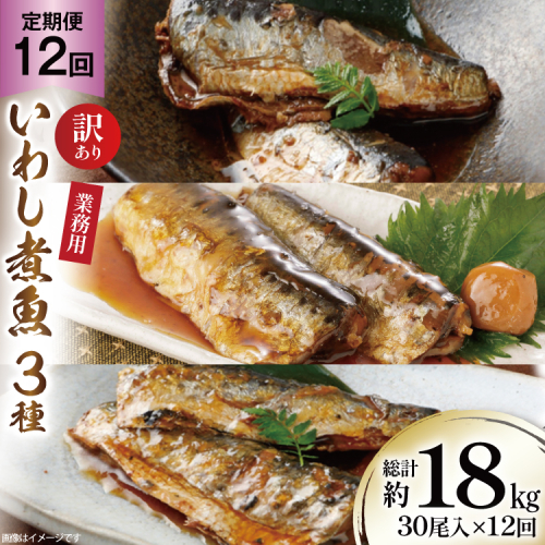 12回 定期便 訳あり 業務用 いわし煮魚 3種 ×10尾 計30尾入 約1.5kg ×12回 総重量 約18kg [カネダイ 宮城県 気仙沼市 20565565] 魚 魚介 煮魚 国産 生姜煮 梅肉煮 みぞれ煮 おかず 焼き魚 簡単 時短 訳アリ 冷凍 1375073 - 宮城県気仙沼市