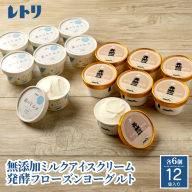 北海道 プレミアムミルクアイスクリーム×6個とフローズンヨーグルト×6個セット【11150】