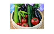 ＜地元で採れた野菜＞源気屋　高原野菜セット【1507579】