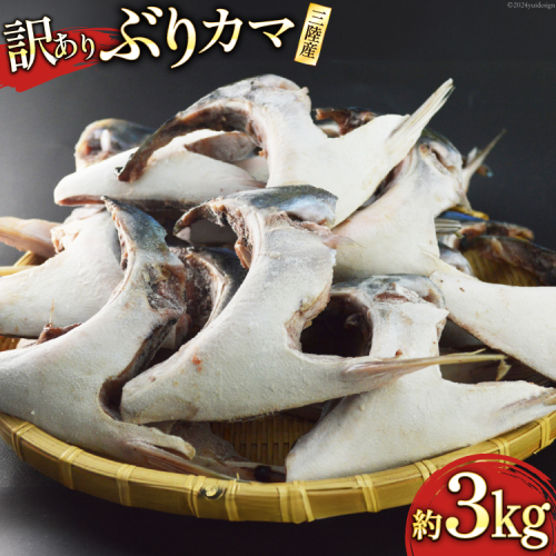 訳あり 三陸産 ぶりカマ 約3kg [阿部長商店 宮城県 気仙沼市 20564778] 魚 魚介 魚介類 ブリ 鰤 ぶり カマ ブリカマ 鰤かま 冷凍 かま 海鮮 1375281 - 宮城県気仙沼市