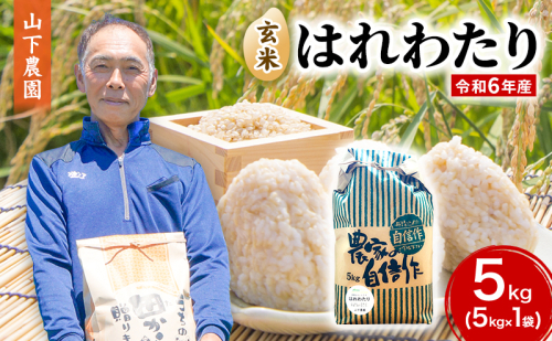 米 令和6年産 はれわたり 玄米 5kg 1袋 こめ お米 おこめ コメ ご飯 ごはん 令和6年 山下農園 青森 青森県 1375374 - 青森県鰺ヶ沢町