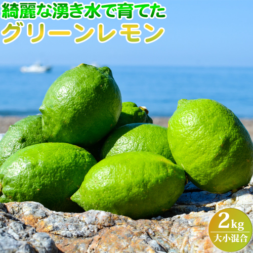 EA6100_綺麗な湧き水で育てたグリーンレモン 2kg (大小混合) 1375903 - 和歌山県湯浅町