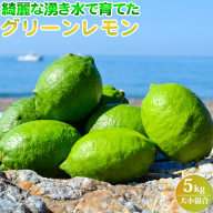 EA6102_綺麗な湧き水で育てたグリーンレモン 5kg (大小混合)