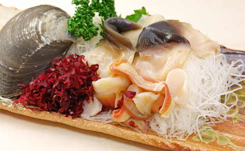 活ホッキ貝 20個 北海道 日高産 ホッキ貝 天然 産地直送 お取り寄せ 北海道 日高町 2025年11月中旬より発送 13759 - 北海道日高町