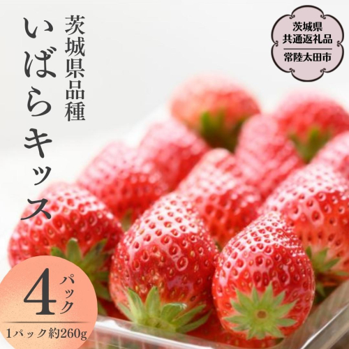 【 2026年 先行予約 】いばらキッス(4パック×1箱)（茨城県共通返礼品／常陸太田市） 茨城県品種 2026年1月上旬発送開始 フルーツ 苺 イチゴ いちご 新鮮 朝採れ 茨城県 桧山FRUITFARM [DY001sa] 1376005 - 茨城県桜川市