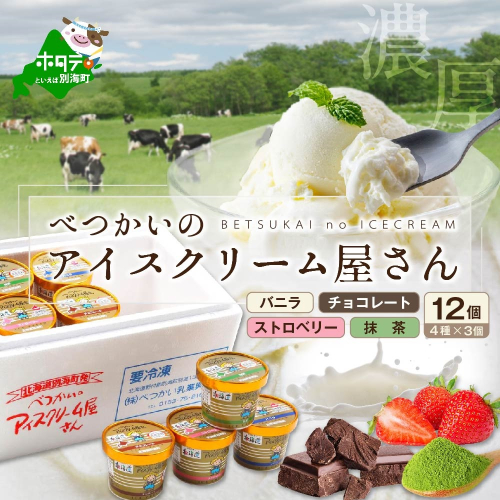 アイスクリーム12個(120ml×12）（A-07）（ 北海道アイス 北海道産アイス アイス アイススイーツ アイスクリーム 北海道産アイスクリーム 道産アイス 道産アイスクリーム ギフト 詰合せ 詰め合わせ ふるさと納税 ） 137606 - 北海道別海町