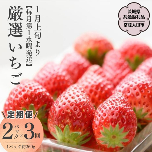 【2026年 先行予約】【定期コース】厳選いちご 2パック×3回【第1水曜発送】（茨城県共通返礼品／常陸太田市） 2026年1月発送開始 フルーツ 苺 イチゴ いちご 新鮮 朝採れ 茨城県 桧山FRUITFARM [DY005sa] 1376184 - 茨城県桜川市