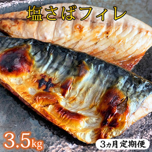 〈毎月定期便〉【ご家庭用　訳あり】塩さばフィレ3.5kg 全3回 1376240 - 和歌山県美浜町