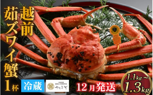【先行予約】[到着日指定可]蟹好きにおすすめ！老舗カニ専門店の「越前ずわいがに」(1.1kg～1.3Kg)　12月発送分(12/20到着迄) ＜捌き＞  [O-085019_08] 1376280 - 福井県福井市