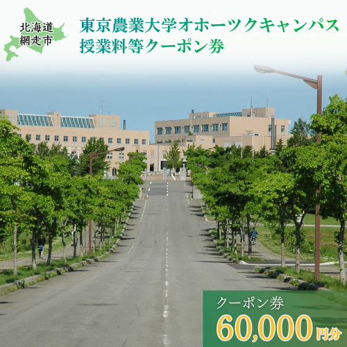 東京農業大学オホーツクキャンパス授業料等60,000円分クーポン券 ABBD002 1376601 - 北海道網走市