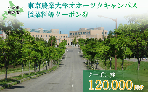 東京農業大学オホーツクキャンパス授業料等120,000円分クーポン券 ABBD004 1376603 - 北海道網走市