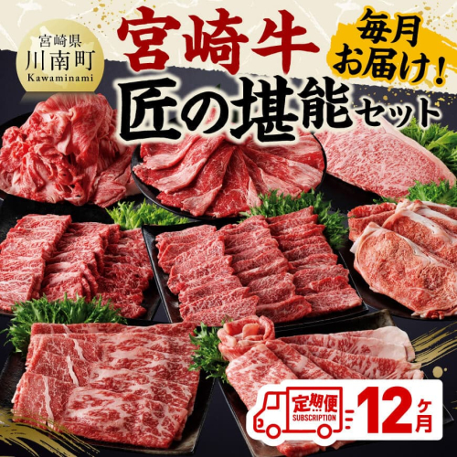 【定期便】宮崎牛　匠の堪能セット 12か月定期便 【 肉 牛肉 国産 黒毛和牛 宮崎牛 全12回 焼肉 しゃぶしゃぶ 焼きしゃぶ BBQ 宮崎県 川南町 】 1376644 - 宮崎県川南町